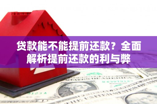 新庄贷款能不能提前还款？全面解析提前还款的利与弊