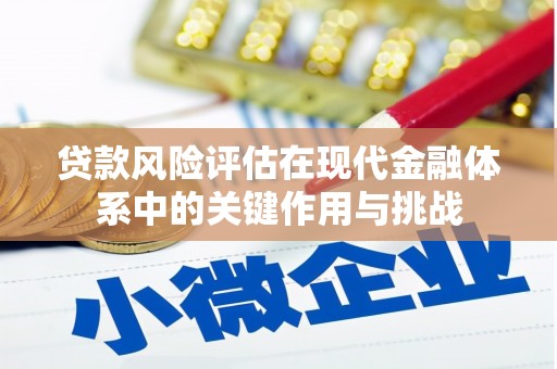 新庄贷款风险评估在现代金融体系中的关键作用与挑战
