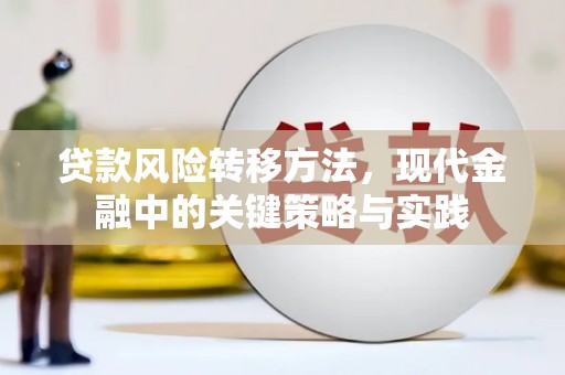 新庄贷款风险转移方法，现代金融中的关键策略与实践