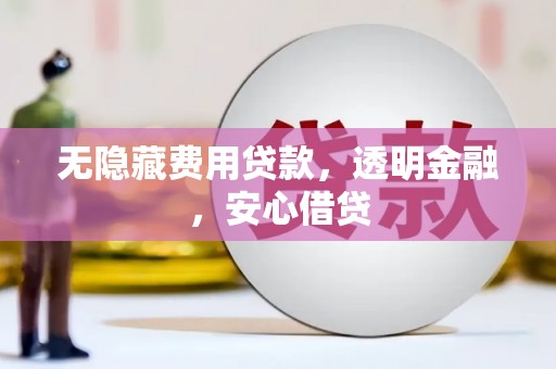 新庄无隐藏费用贷款，透明金融，安心借贷