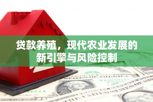 新庄贷款养殖，现代农业发展的新引擎与风险控制