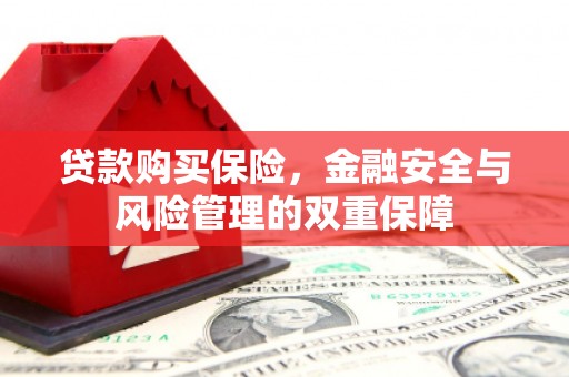 新庄贷款购买保险，金融安全与风险管理的双重保障