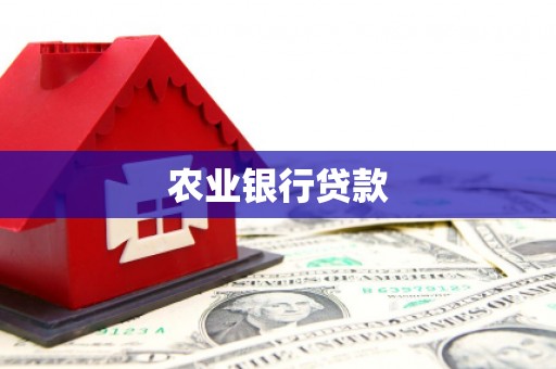 新庄农业银行贷款