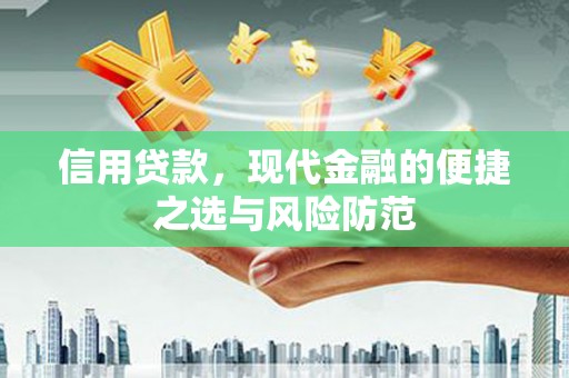 新庄信用贷款，现代金融的便捷之选与风险防范