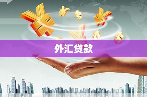 新庄外汇贷款