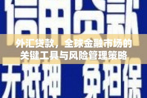新庄外汇贷款，全球金融市场的关键工具与风险管理策略