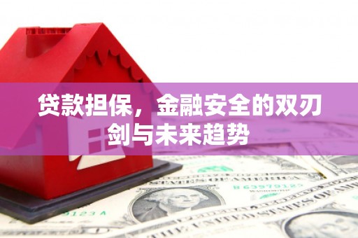 新庄贷款担保，金融安全的双刃剑与未来趋势