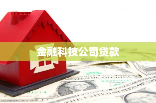 新庄金融科技公司贷款