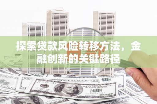 新庄探索贷款风险转移方法，金融创新的关键路径
