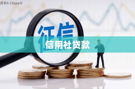 新庄信用社贷款