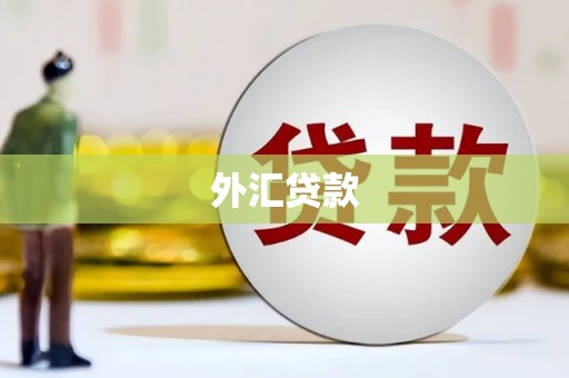 新庄外汇贷款