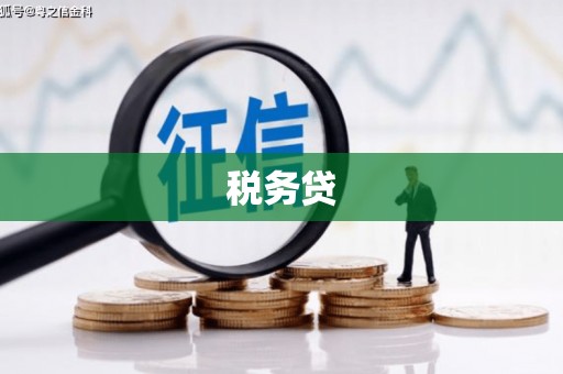 新庄税务贷