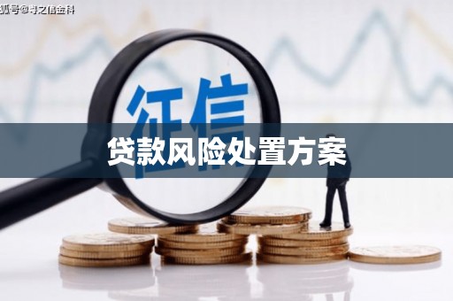 新庄贷款风险处置方案