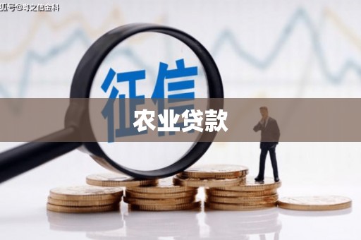 新庄农业贷款