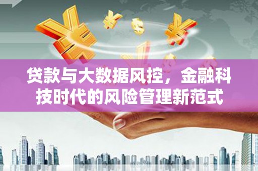 新庄贷款与大数据风控，金融科技时代的风险管理新范式