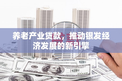 新庄养老产业贷款，推动银发经济发展的新引擎