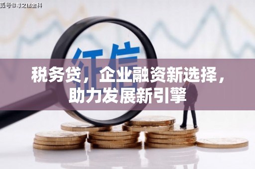 新庄税务贷，企业融资新选择，助力发展新引擎