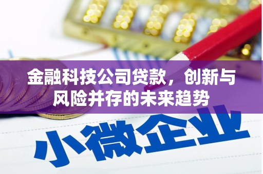 新庄金融科技公司贷款，创新与风险并存的未来趋势