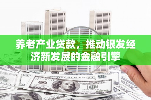 新庄养老产业贷款，推动银发经济新发展的金融引擎