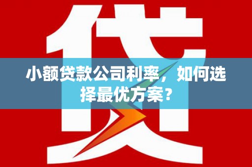 新庄小额贷款公司利率，如何选择最优方案？