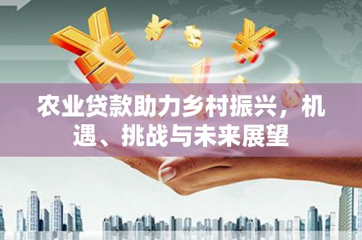 新庄农业贷款助力乡村振兴，机遇、挑战与未来展望