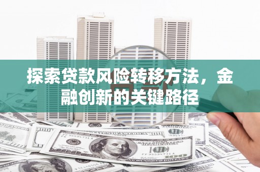 新庄探索贷款风险转移方法，金融创新的关键路径