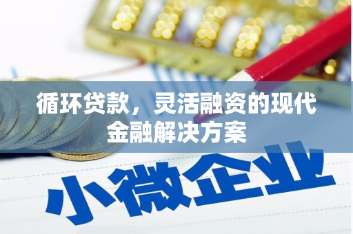 新庄循环贷款，灵活融资的现代金融解决方案