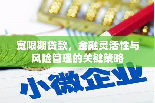 新庄宽限期贷款，金融灵活性与风险管理的关键策略