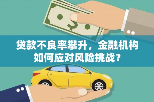 新庄贷款不良率攀升，金融机构如何应对风险挑战？