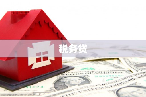 新庄税务贷