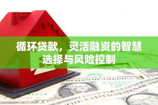 新庄循环贷款，灵活融资的智慧选择与风险控制