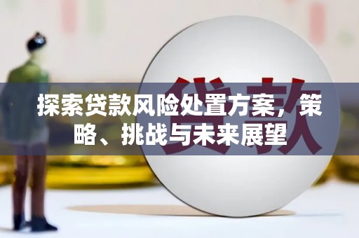 新庄探索贷款风险处置方案，策略、挑战与未来展望