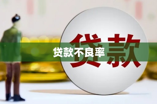 新庄贷款不良率