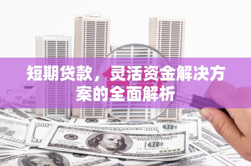 新庄短期贷款，灵活资金解决方案的全面解析