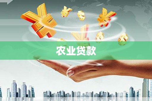 新庄农业贷款