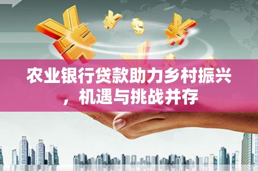 新庄农业银行贷款助力乡村振兴，机遇与挑战并存