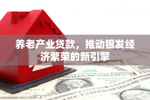 新庄养老产业贷款，推动银发经济繁荣的新引擎