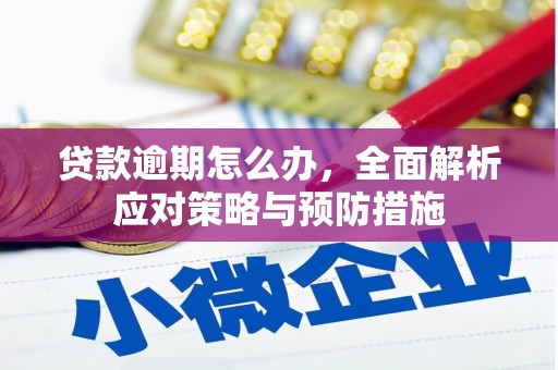 新庄贷款逾期怎么办，全面解析应对策略与预防措施