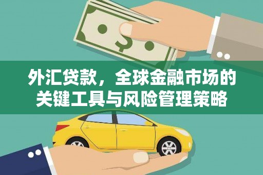 新庄外汇贷款，全球金融市场的关键工具与风险管理策略