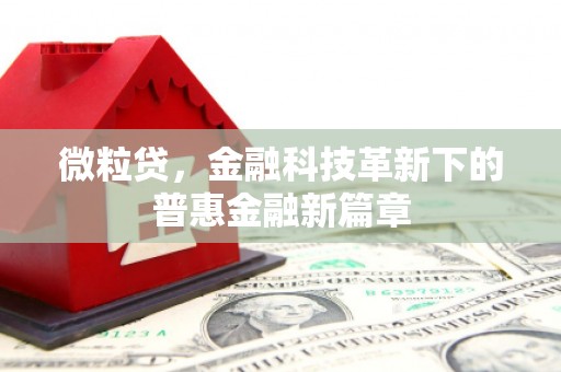 新庄微粒贷，金融科技革新下的普惠金融新篇章