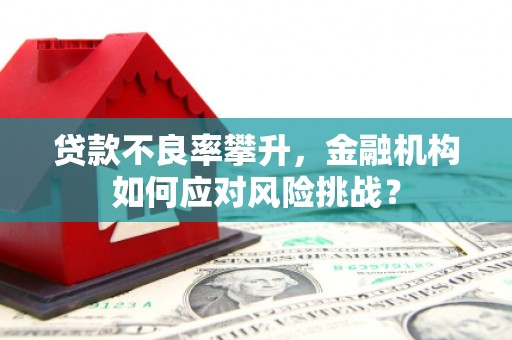 新庄贷款不良率攀升，金融机构如何应对风险挑战？