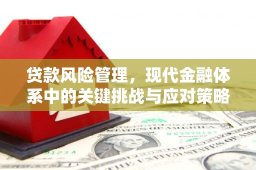 新庄贷款风险管理，现代金融体系中的关键挑战与应对策略