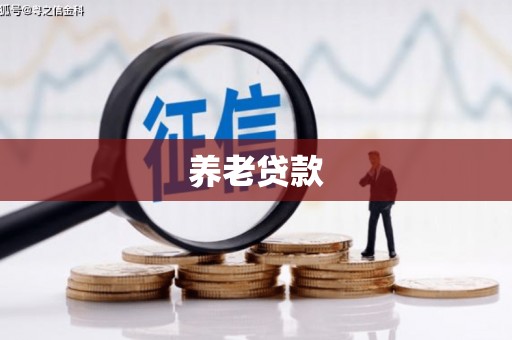 新庄养老贷款