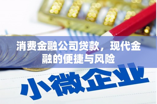 新庄消费金融公司贷款，现代金融的便捷与风险