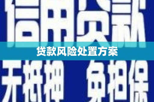 新庄贷款风险处置方案