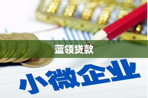 新庄蓝领贷款