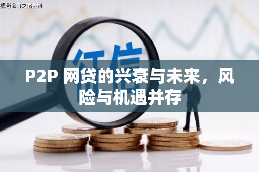 新庄P2P 网贷的兴衰与未来，风险与机遇并存